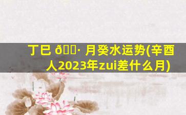 丁巳 🌷 月癸水运势(辛酉人2023年zui
差什么月)
